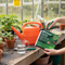Premium Vine Weevil Killer with Nematodes for Natural Control in Edible Crops - Treats 100m²