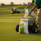 Premium Granular Lawn Treatment 10kg - Effective Against Dry Patch with 500m2 Coverage
