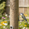 Premium Heavy Duty Seed Feeder with Polycarbonate Tubing and Squirrel Resistance - Available in Multiple Sizes