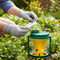 Premium Replacement Pheromone Lure for Chafer Beetle Trap - Lasts up to 6 Weeks with Easy Insertion Instructions