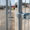Premium Temporary Fencing Coupler - Durable Galvanised Steel for Secure Panel Connections with M10 Bolt