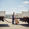 Premium Retractable Tail Lift Lead with Durable Twin-Flex 35mm Cable and 175amp Anderson Connectors for Trailer Connection
