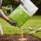 Premium Grass Seed Blend for Landscaping - Perennial Ryegrass and Creeping Red Fescue with Quick Germination and Surface Stability