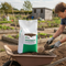 Premium Traditional Green Grass Seed for Quick Germination and High-Quality Playing Surface
