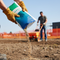 Premium High-Performance Grass Seed Mixture for Rapid Establishment and Drought Resistance