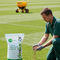 Premium Formal Grass Seed Mix for Ornamental Lawns with Fine Appearance and Reduced Mowing Needs