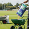 Premium Grass Seed Blend 20kg - Fast Germination, Dense Sward, and High Disease Resistance