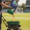 Premium Grass Seed Mix 20kg - Fescue and Bent for Dense, Disease-Resistant Lawn - High-Quality Professional Grade for Industrial and Commercial App...