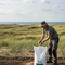 Premium Coastal Grass Seed 20kg - High-Performance Mixture for Saline Conditions with Rapid Establishment