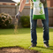 Premium Traditional Grass Seed Mixture with High Disease Resistance for Dense, Fine Lawns