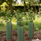 Premium Heavy Duty Tube Shelter for Shrubs - Nest of 4 with Multiple Diameter Options and Heights for Optimal Plant Protection