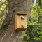 Premium Bird Nest Box for Small Birds - Durable Design, Stainless Steel Entrance, Easy Access for Monitoring and Cleaning