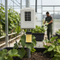 Premium Wireless Leaf and Soil Moisture/Temperature Station for Accurate Environmental Monitoring