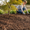 Premium Contract Ornamental Bark for Landscaping - FSC Certified, 15-35 mm Particle Sizes, Available in 75L and 1 Cubic Metre Bags