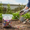 Premium Colour Boost Amenity Flowers 1kg - Vibrant Mixture for Gardens and Public Spaces