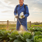 High-Performance Insecticide Solution for Caterpillar Control - 500ml with Diflubenzuron for Effective Pest Management