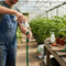 Premium 250ml Nematode Carrier for Enhanced Pest Control and Turf Care - High-Quality Professional Grade for Industrial and Commercial Applications