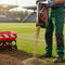 Premium Sports Turf Renovation Grass Seed 20kg - High-Performance Perennial Ryegrass Blend for Rapid Establishment and Disease Resistance