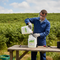 Professional Herbicide for Effective Bracken Control with 400g/L Asulam in Soluble Concentrate Formulation