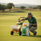 Premium Slow-Release Fertiliser 15-6-15 with Calcium and Magnesium for Enhanced Turf Growth and Colour Boost