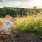 Premium Classic Meadow Wildflower Mix with Diverse Native Species for Environmental Enhancement