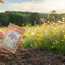 Premium Classic Meadow Wildflower Mix with Diverse Native Species for Environmental Enhancement