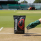Premium High-Performance Wicket Grass Seed Mix 20kg - 100% Perennial Ryegrass with Rapid Establishment and High Disease Resistance