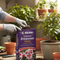Premium Ericaceous Compost 60L for Potting and Taking Cuttings with Improved Soil Structure