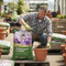 Premium Multi-Purpose Compost 60L - Superior Plant Growth with Enhanced Water Retention for All Gardening Needs