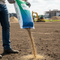 Premium High-Performance Grass Seed Mixture for Shade Tolerance and Rapid Germination