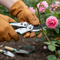 Premium Bypass Pruning Secateurs with Stainless Steel Blade and Soft Touch Grip for Pruning Live Growth