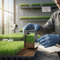Professional Broad Spectrum Plant Leaf Analysis Service for Nutrient Deficiency Detection and Correction