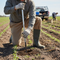 Premium Open End Sampler for Agronomy with 1.6cm Width and 33cm Depth for Accurate Soil Sampling