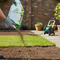 Premium Browntop Bent Grass Seed Mixture for Golf and Bowling Greens - Dense Sward with High Disease Resistance