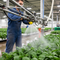 Premium Solid Cone Nozzle for Knapsack & Boom Sprayers - 80° Spray Angle for Herbicides and Insecticides
