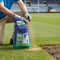 Premium 20kg Grass Seed Mixture - Fast Germination, High Wear Tolerance, and Excellent Disease Resistance