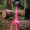 Premium Fluorescent Marker Aerosol for Forestry Applications - High-Performance 500ml with 12 Months Marking Longevity
