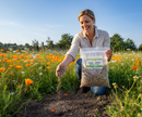Premium Biodiversity Seed Mixture 1kg - Perennial, Annual, and Biennial Flowers for Vibrant Gardens - Main Product Image