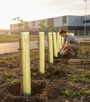 Premium Tube Shelter for Trees - Nest of 5 Shelters with Various Diameters for Optimal Protection - Main Product Image