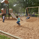 Premium Play Grade Hardwood Chip - FSC Certified, 10-30mm Particle Sizes, Compliant with Industry Play Standards - Detail ...