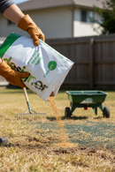 Premium Multipurpose Grass Seed 20kg - Fast Germination, Durable Mixture for Lawns and Landscapes - Main Product Image
