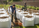 Premium Multipurpose Screened Topsoil for Landscaping and Horticulture - Bulk Bags Available - Detail View