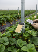 Professional Leaf Wetness Sensor with 0-15 Moisture Reading for Accurate Soil Monitoring - Detail View