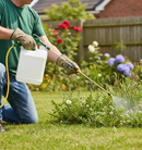 Premium Selective Herbicide 5 L - Powerful Formula for Turf Weed Control with 4 Active Ingredients - Detail View