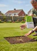 Premium High-Performance Grass Seed Mix for Cricket Wickets, Tennis Courts, and Golf Tees - Durable Perennial Ryegrass Ble...