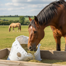Premium Horse Paddock Grass Seed 10kg - High-Performance Mixture for Horse Pastures with Low Sugar Content - Detail View