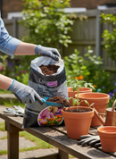 Premium Soil Improver and Planting Compost 50L - Natural Nutrients and Moisture Retention for Organic Gardening - Detail View