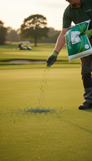 Premium High-Performance 3-0-6 Fertiliser with 9% Iron for Turf Growth - 20kg for Professional Lawn Care - Detail View