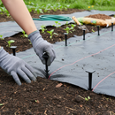 Premium BIO Degradable Square Pegs - 155mm Long, Eco-Friendly and Sustainable Solution for Gardening - Detail View