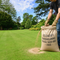 Premium Hardwearing Grass Seed Mix 20kg - Versatile, Disease-Resistant Formula for Lawns and Landscaping